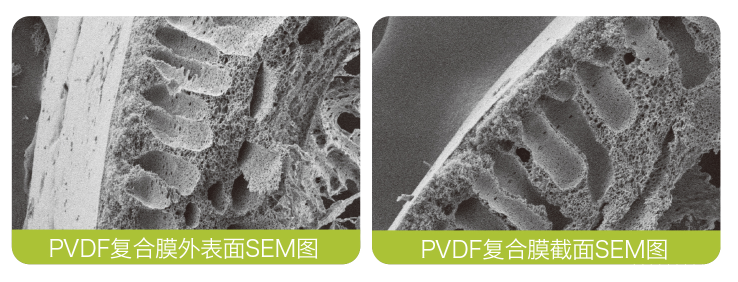 PVDF复合膜