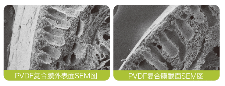 PVDF composite membrane